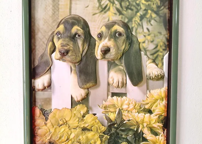 Da Carmen Διαμέρισμα